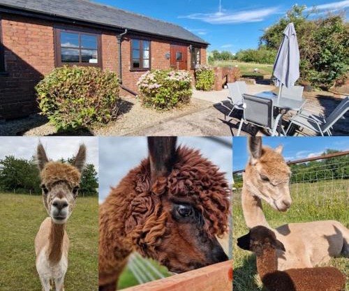 Swallows Nest Guest House - With Hot Tub