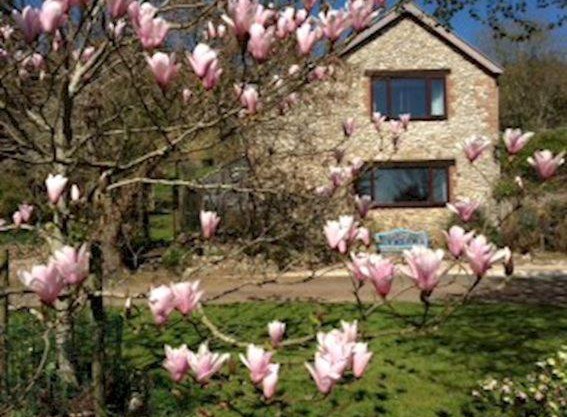 Swallows Nest @ Magnolia Lake