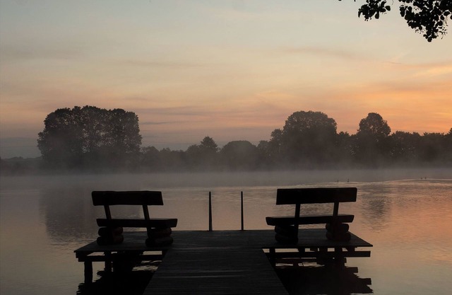 Swan - Swan Barn Loppiner See