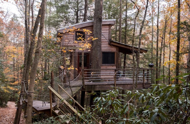 Sylvan Float Treehouse: Our First & Sweetest Treehouse!