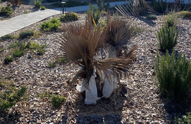 T3 80 M2 air-conditioned within a family domain of 25 apartments with swimming pool