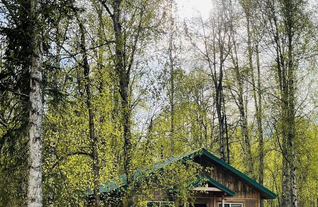 Talkeetna Wilderness Lodge - Family Cabin #4