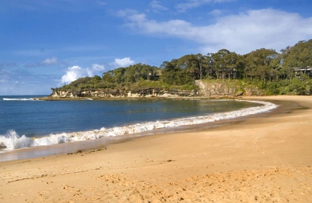 TANGLEWOOD, TOP NOTCH