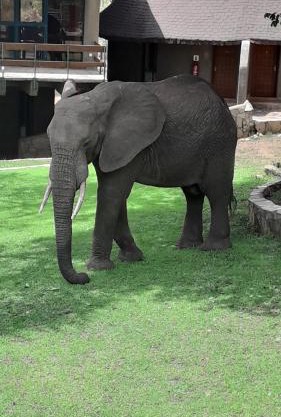 Tarangire Sopa Lodge