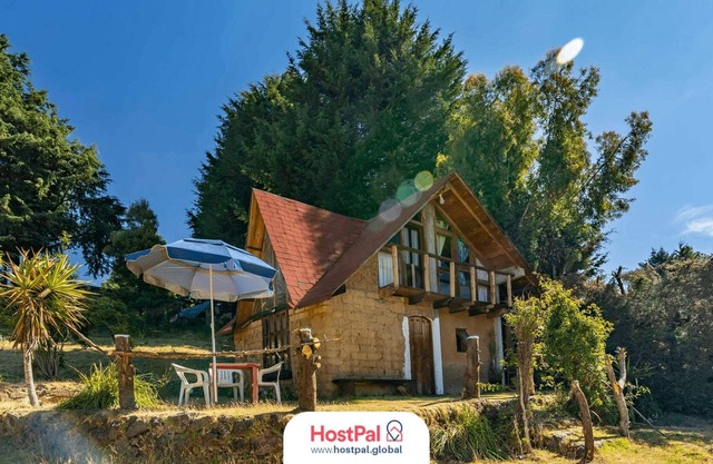 Temazcal Tonalkalli | Adventure in the forest