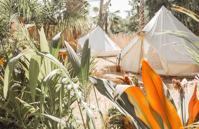 Tent 2 · Cien Palmas - Glamping Tent 2 - Downtown