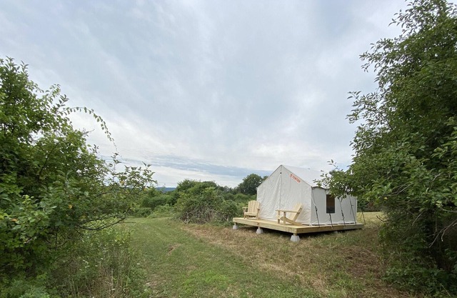 Tentrr Signature Site - Orchard Tent Esopus
