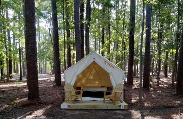 Tentrr State Park Site - Louisiana North Toledo Bend State Park - Forest Glade H - Single Camp
