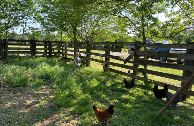 Texoma Rv Ranch, 1 mile from Texoma, garden, orchard, concrete pads!