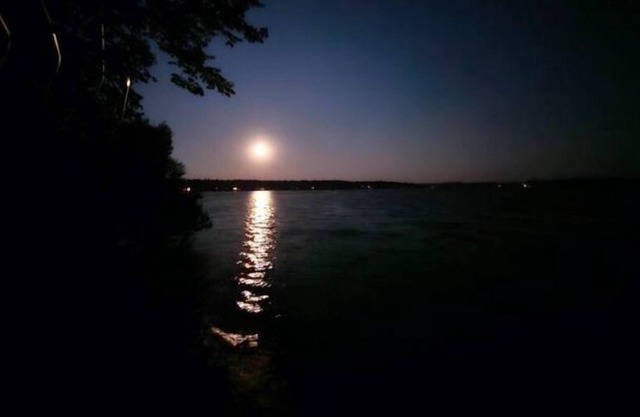 The Beahive Resort. Unit #2 Lakefront on lake Alex