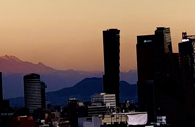 The Best Development of Polanco "Miyana"