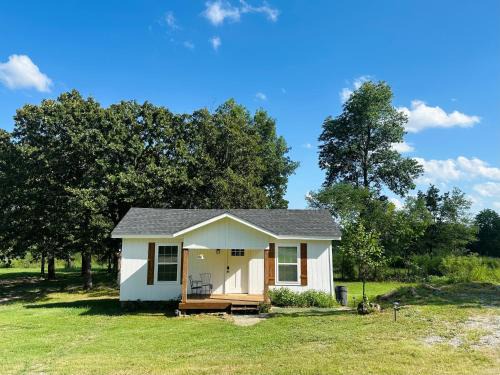 The Birds Nest - NEW