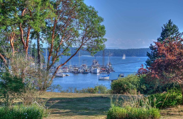 The Bungalow on the Shore in West Sound