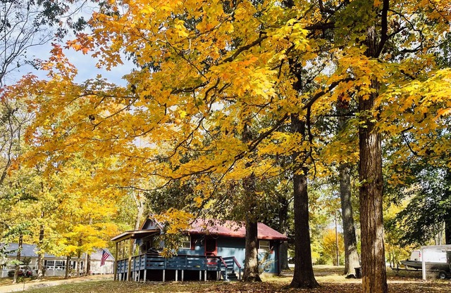 The comfy cozy cabin awaits you!