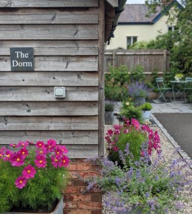 The Dorm Bed and Breakfast
