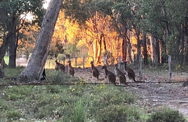 The Edge Retreat - Slip away for awhile.