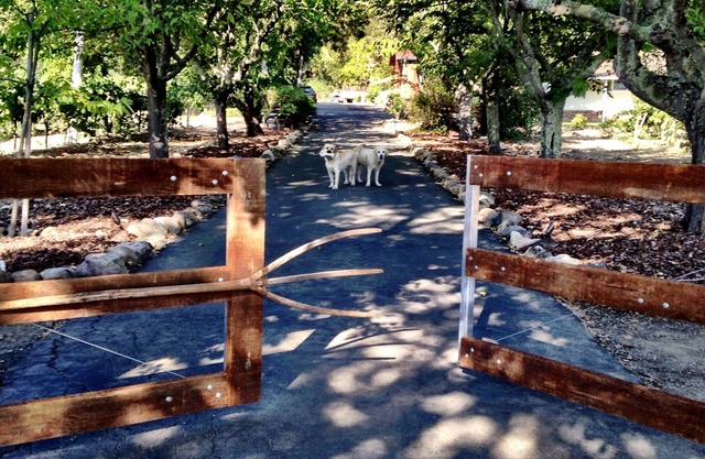 The Farmhouse Vineyard