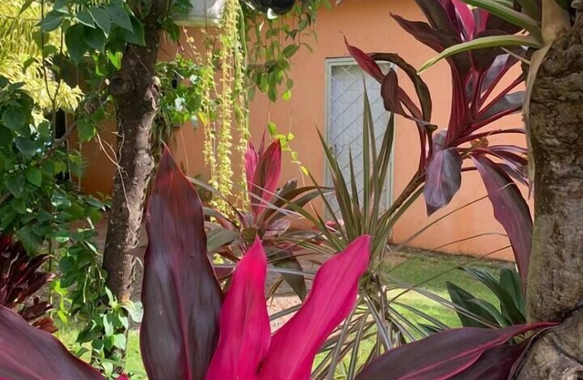 The Garden House - Las Galeras