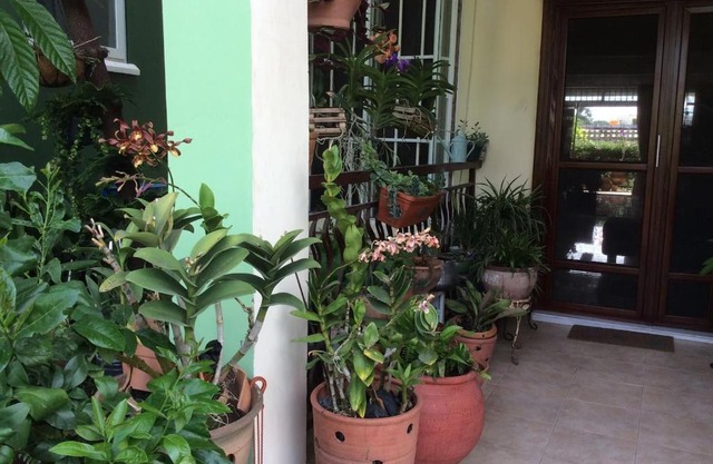 The Green House, Labone