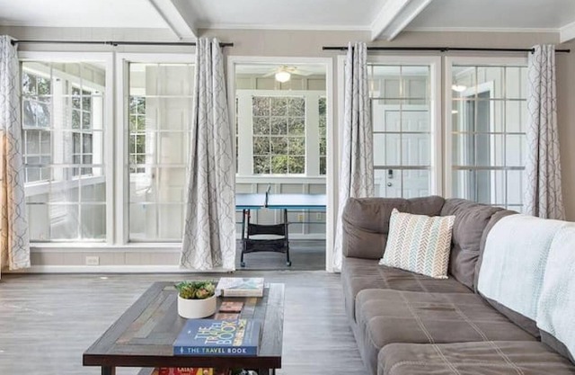 The Huge Home No Service Fees Pingpong Shsu