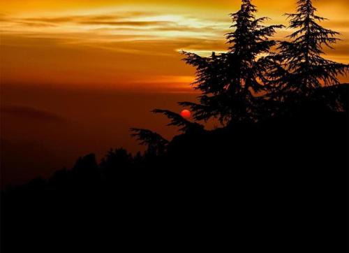 The Kufri Castle I Property of the year I Family Accomodation I Peacefull Area I Sky Bonfire I Kufri by Exotic Stays