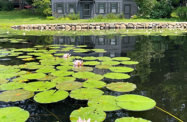 The Little House. Historic 2-BR waterfront cottage in Winchester w/WiFi, AC