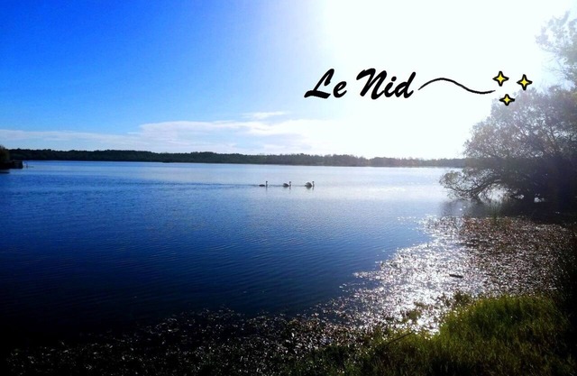 The Nest of the Lake