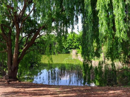 The Nugget Guest Lodge