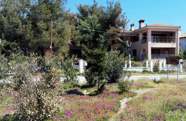 The Pink Oleander House on the beach with a spectacular view - 6 persons
