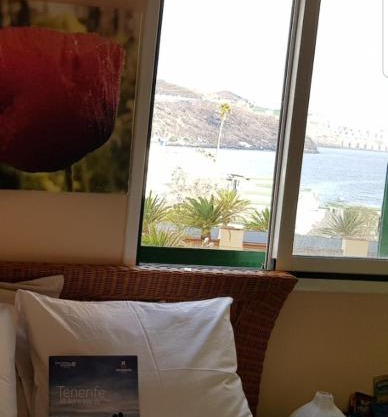 THE POPPIES Guest House - 100m Ocean - Private Spaces