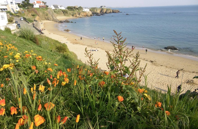 THE POULDU, apartment 300 meters from the beach, connected to WIFI