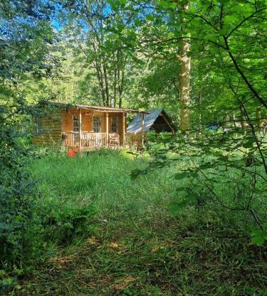 The Shack in the Woods- Off Grid