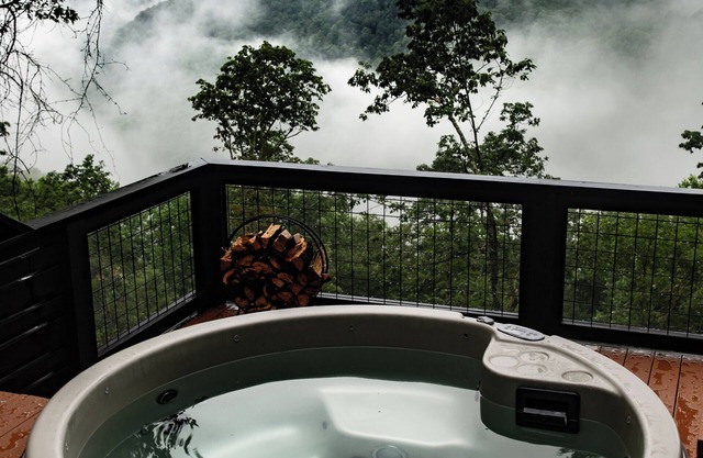 The Spruce - Luxurious villa on private 85 acre retreat near Blue Ridge Parkway.