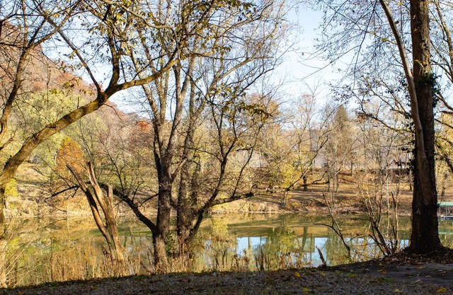 The Stagg House on the Ky River
