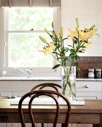 The Tailor's Cottage Kangaroo Valley