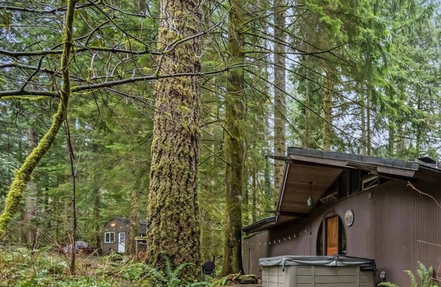 The Treehouse + Writer's Cabin