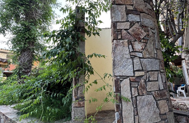 The two palms from Angelo the cove