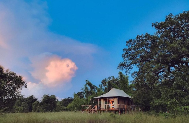 The Untamed Bandhavgarh by TUTC