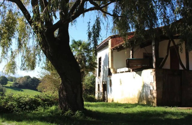 The willow tree house - Hidden in the perfect spot.