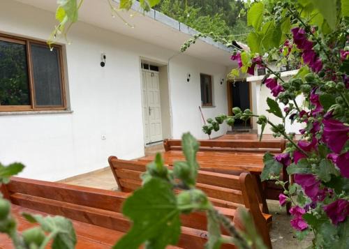 Thethi Mountain Guesthaouse