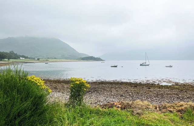 This cottage is like a Tardis inside and is great for families.
