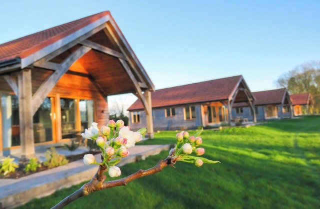 Three Bedroom Cottage - King's Lynn - Hay's Wood Retreat