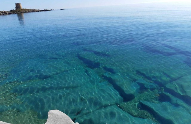 Three-room apartment in Ogliastra a stone's throw from the sea