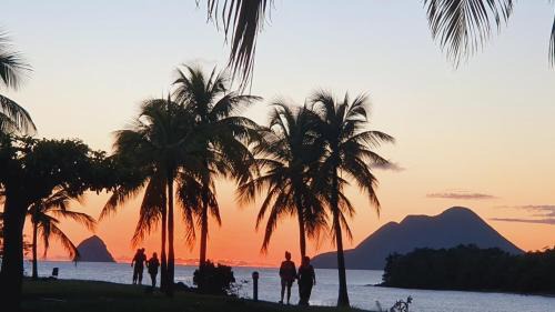 TI OASIS Margarita Studio piscine et plage à P&Vac Village-Club