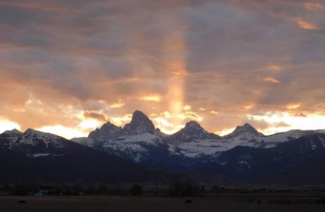 Tiny Home with Spectacular Teton View
