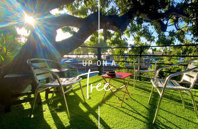 Tiny house by the sea with its private pool - under a tree
