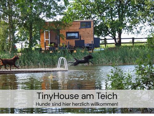 TinyHousebeiDresden klein aber fein, beste Alleinlage direkt am Naturteich, große Terrasse - Nähe Sächsische Schweiz und Dresden