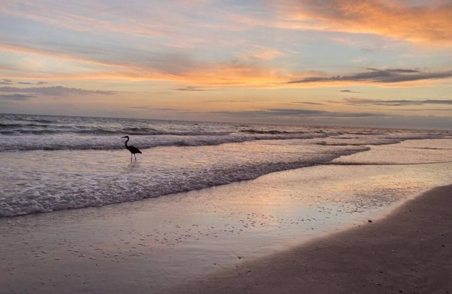 Sea Oats Redington Shores 