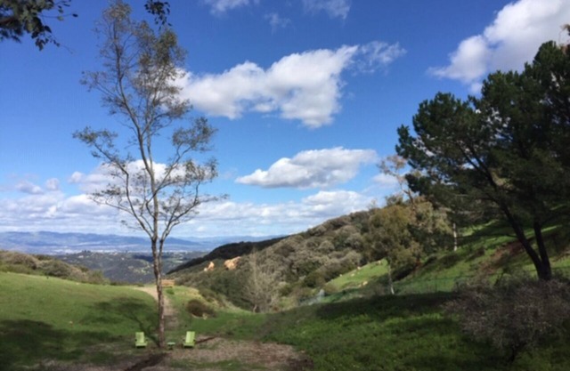 Topanga Mountain Paradise - a dream getaway