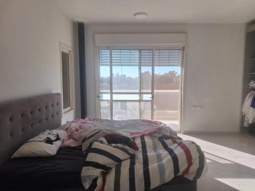 Trankilo on the field